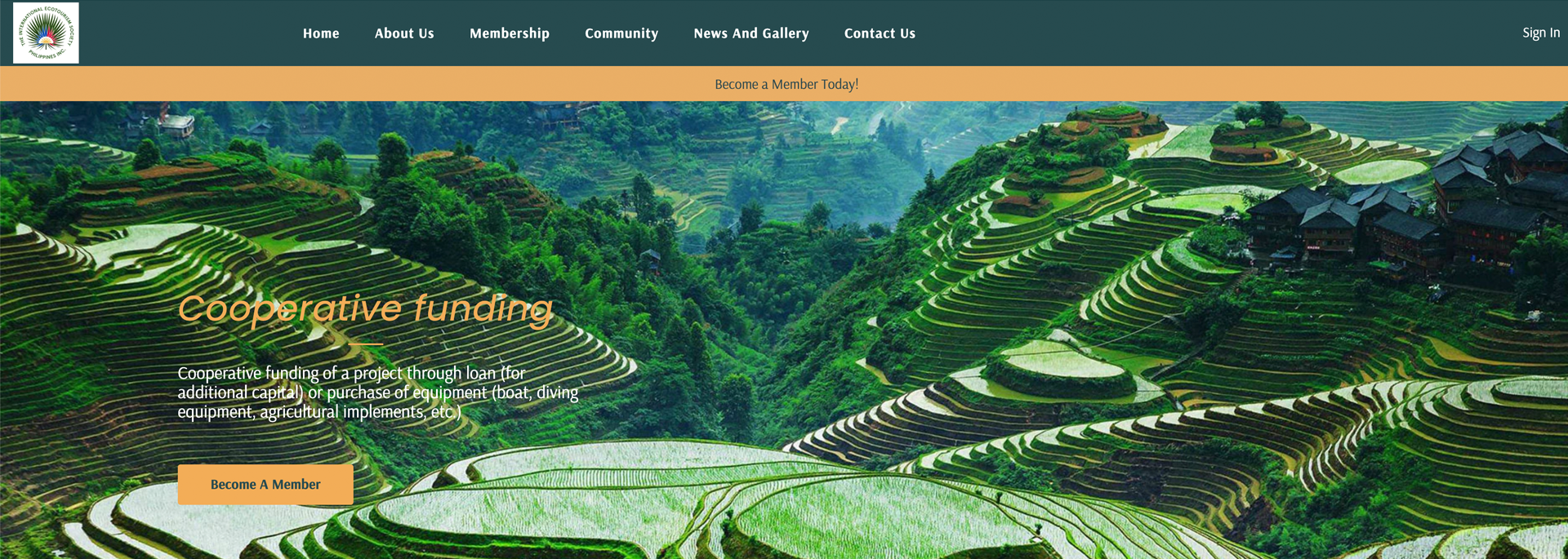 portfolio image
